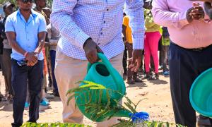 PS plants trees